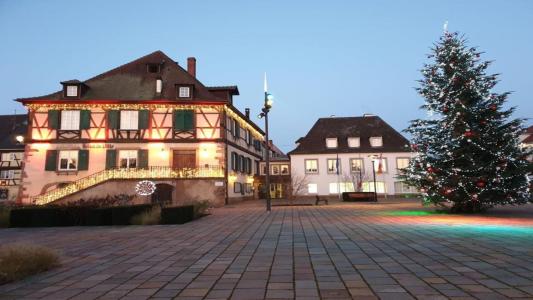 Acheter Programme neuf Wintzenheim