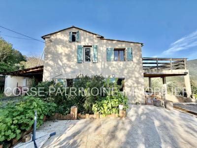 Annonce Vente 7 pi�ces Maison Tallone 20