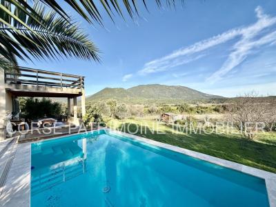 Acheter Maison Tallone 477000 euros