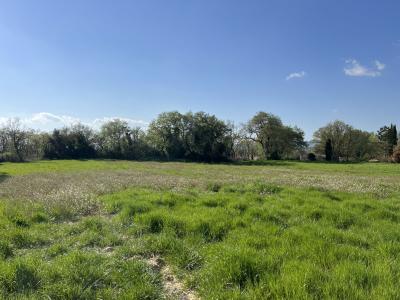 Annonce Vente Terrain  30
