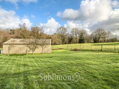 Annonce Vente 5 pi�ces Maison Pluvigner 56