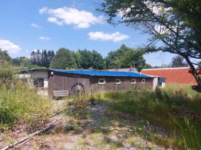 Annonce Vente Maison Lanvaudan 56