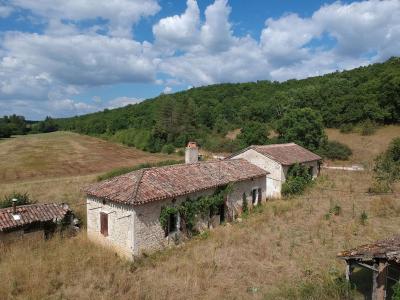 Acheter Maison 80 m2 Puylaroque