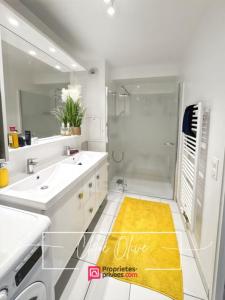 Acheter Appartement Serris Seine et marne