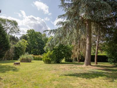 Acheter Maison 191 m2 Jambville