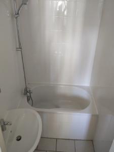 Louer Appartement Lyon-7eme-arrondissement 485 euros