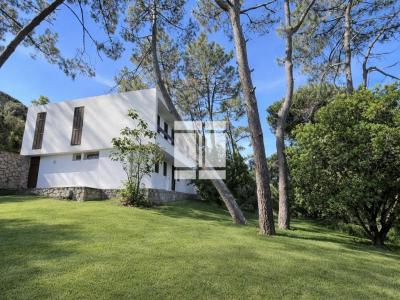 Annonce Vente Prestige Grosseto-prugna 20