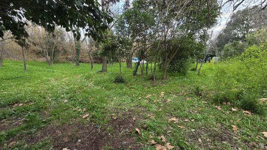 For sale Puy-sainte-reparade 300 m2 Bouches du Rhone (13610) photo 1