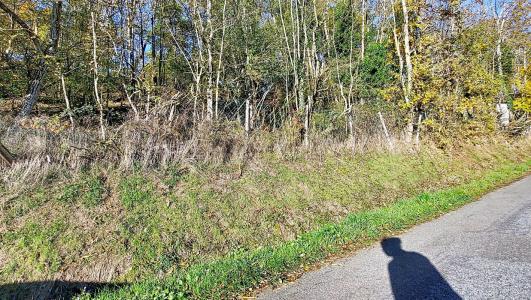 Acheter Terrain Saint-pierre-la-palud 10000 euros