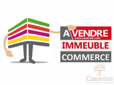 Annonce Vente Immeuble Orleans 45