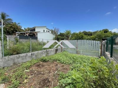 Annonce Vente Terrain Saint-pierre 974