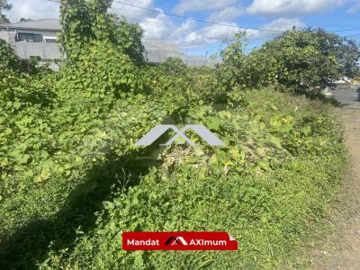 Annonce Vente Terrain Tampon 974