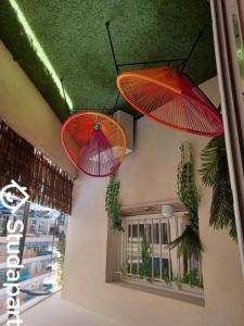 For rent Juan-les-pins 1 room 36 m2 Alpes Maritimes (06160) photo 0