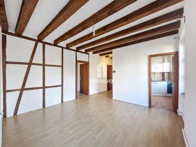 Louer Appartement 42 m2 Strasbourg