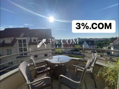 Annonce Vente 3 pi�ces Appartement Hochfelden 67
