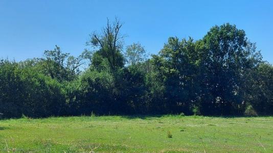 Annonce Vente Terrain Montipouret 36