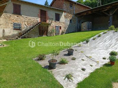 Annonce Vente 7 pi�ces Maison Cottance 42