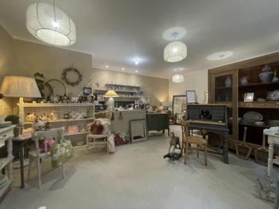 Annonce Vente Local commercial Plaissan 34