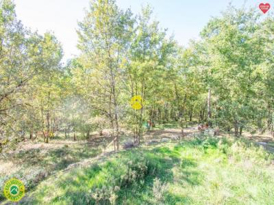 Acheter Maison Buisson-de-cadouin Dordogne