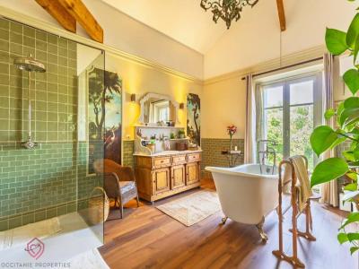 Acheter Prestige Carcassonne 749000 euros