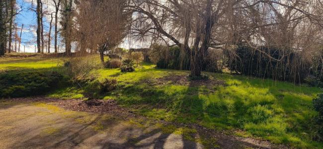 Annonce Vente 4 pi�ces Maison Durfort-lacapelette 82