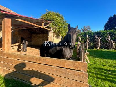 Acheter Maison Saint-gaudens 254000 euros