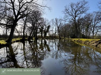 For sale Vierzon 9 rooms 238 m2 Cher (18100) photo 3