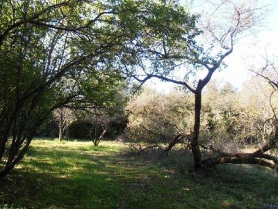 For sale 7 rooms 180 m2 Deux sevres (79120) photo 3