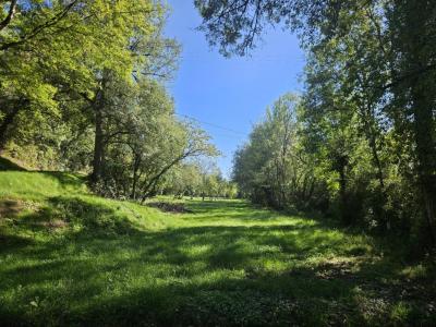 Acheter Maison 265 m2 Condom