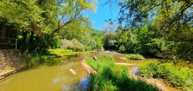 Annonce Vente 8 pi�ces Maison Rignac 12