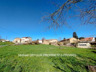 Acheter Terrain Monistrol-sur-loire 102000 euros