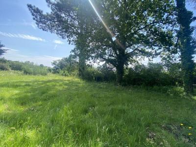 Acheter Terrain 1200 m2 Saint-gildas-de-rhuys