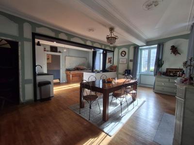 Acheter Maison 280 m2 Ploermel