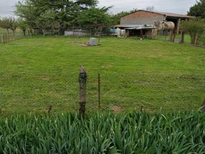 For sale Terssac 650 m2 Tarn (81150) photo 0