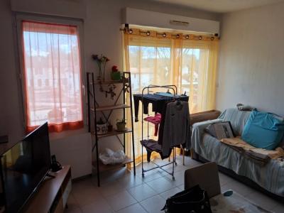 Annonce Location 2 pi�ces Appartement Belin-beliet 33