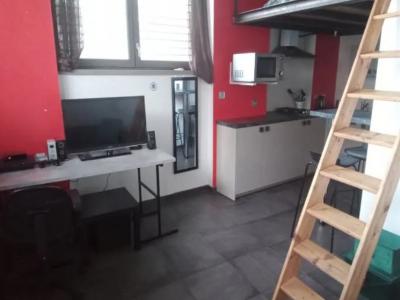 Louer Appartement 34 m2 Villeurbanne