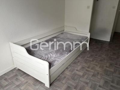 Louer Appartement Grenoble 456 euros