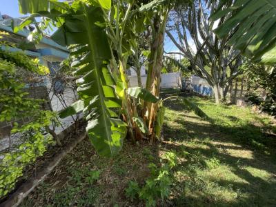 Annonce Vente 4 pi�ces Maison Saint-pierre 974