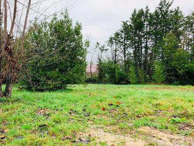 For sale Montguyon 1037 m2 Charente maritime (17270) photo 0