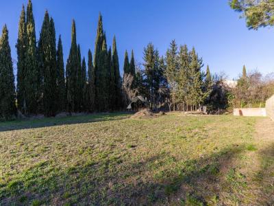 Acheter Terrain Pezenas Herault
