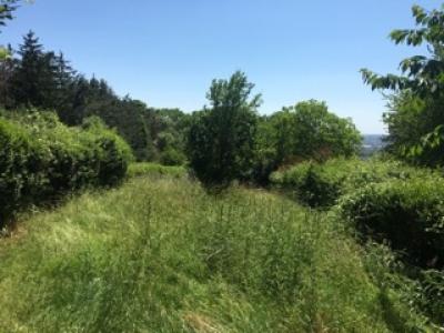 Louer Maison Dommartemont 1230 euros