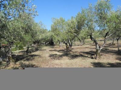 Annonce Vente 10 pi�ces Maison  30