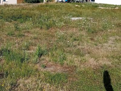 Annonce Vente Terrain  01