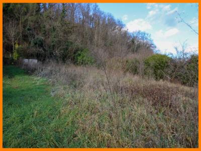 Annonce Vente Terrain  01