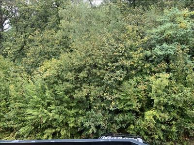 Louer Appartement Chaville 1094 euros