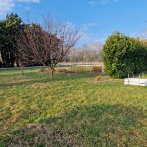 Annonce Vente 5 pi�ces Maison Montelimar 26