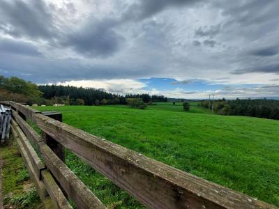 Annonce Vente 6 pi�ces Maison Saint-martin-de-salencey 71