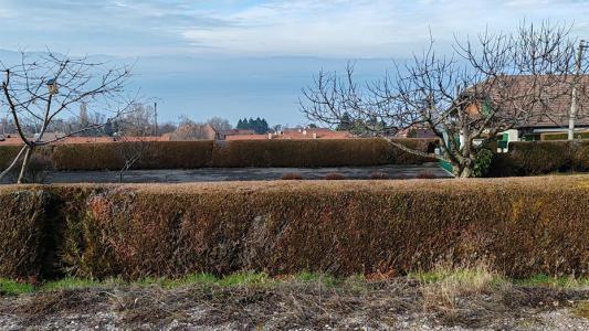 Annonce Vente 5 pi�ces Maison Publier 74