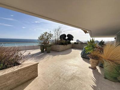 Acheter Appartement 132 m2 Villeneuve-loubet