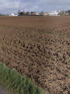 For sale Saint-jean-de-liversay 400 m2 Charente maritime (17170) photo 0